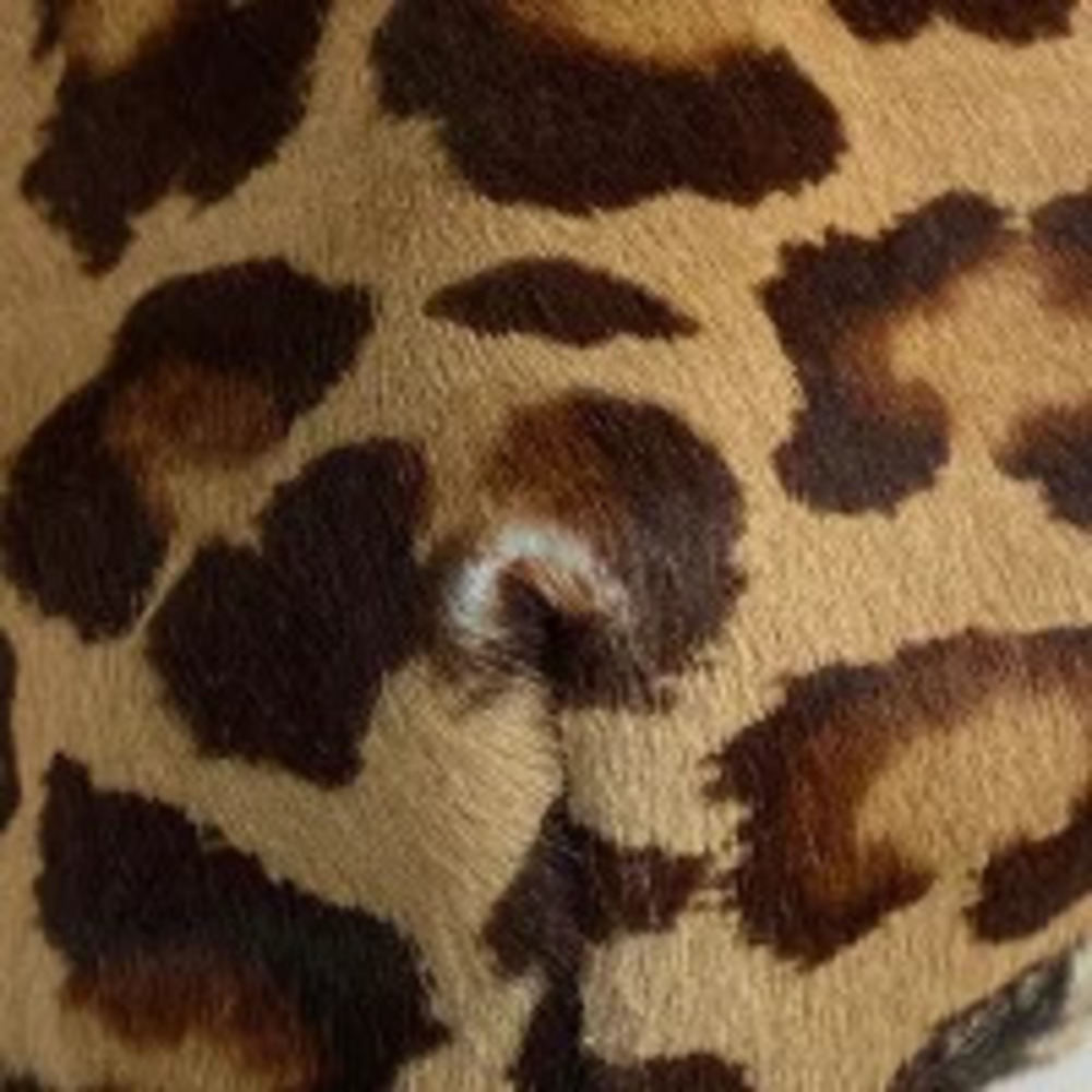 Fendi Hobo Leopard Calf Hair Bag Shoulder Handbag Brown